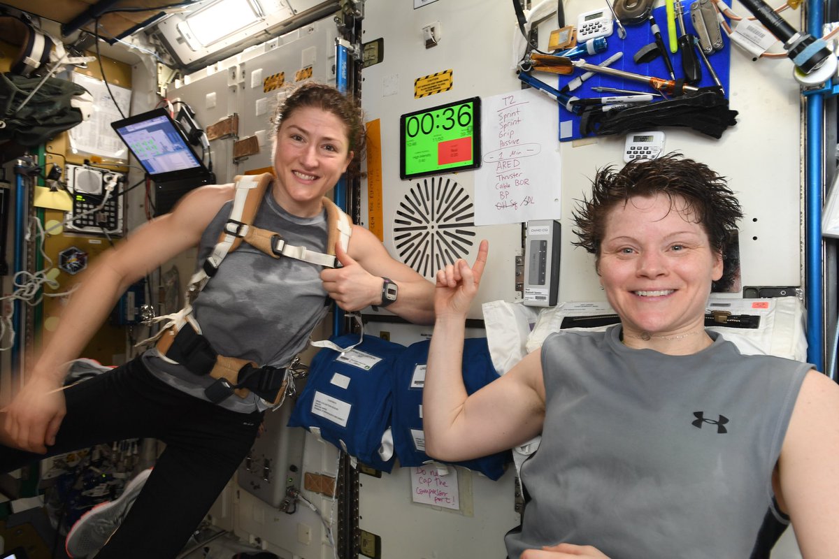 Christina H Koch tweet media