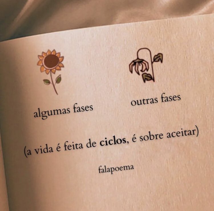 soudesabafosofc's tweet photo. https://t.co/fAU1jeeyDw