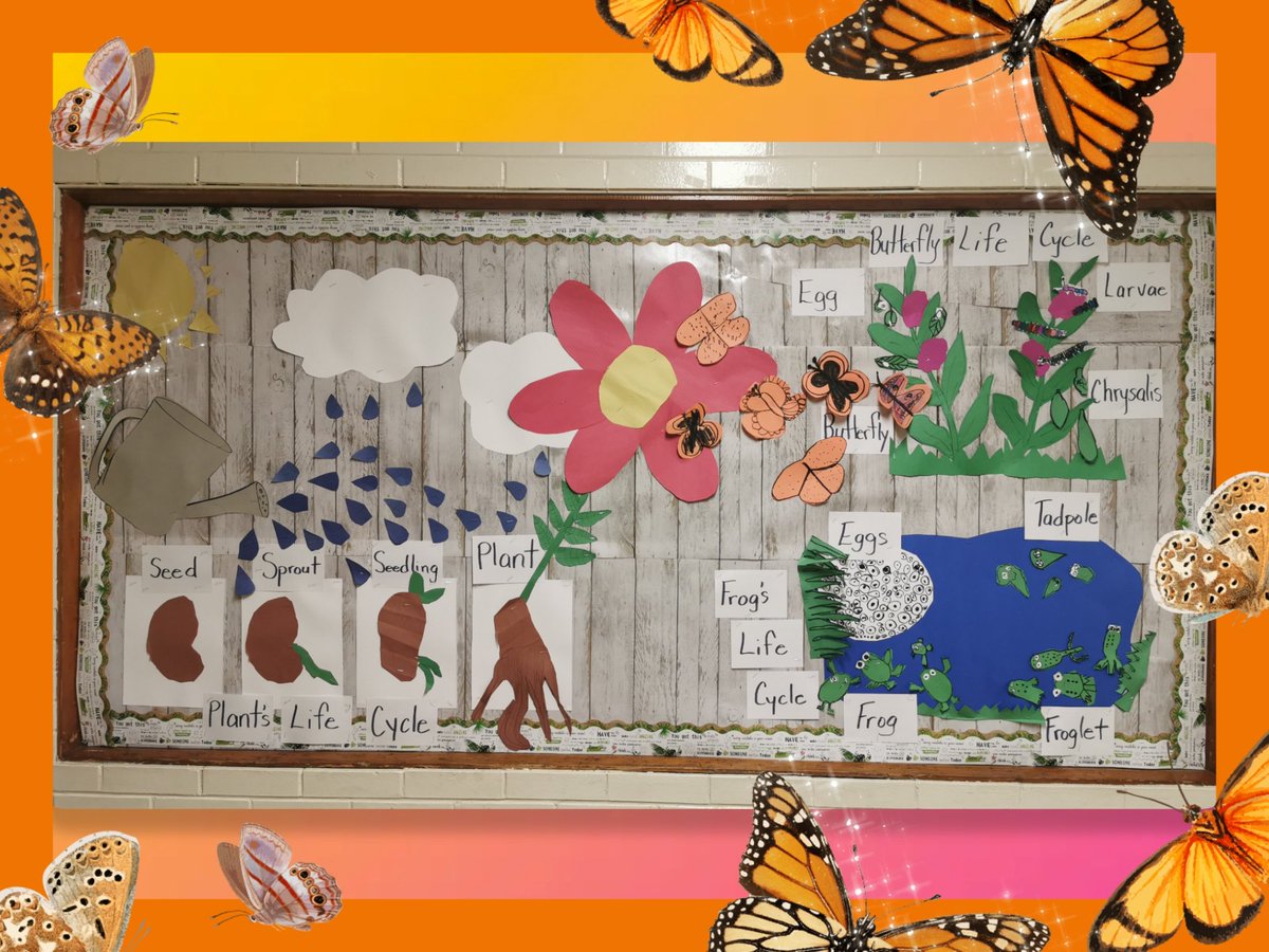My class <a href="/qesarnia/">@QESarnia</a> love looking at their creation! We are getting excited to be Painted Lady Butterfly larvae parents soon! Thanks to Wendy @SEPSciCen 🦋