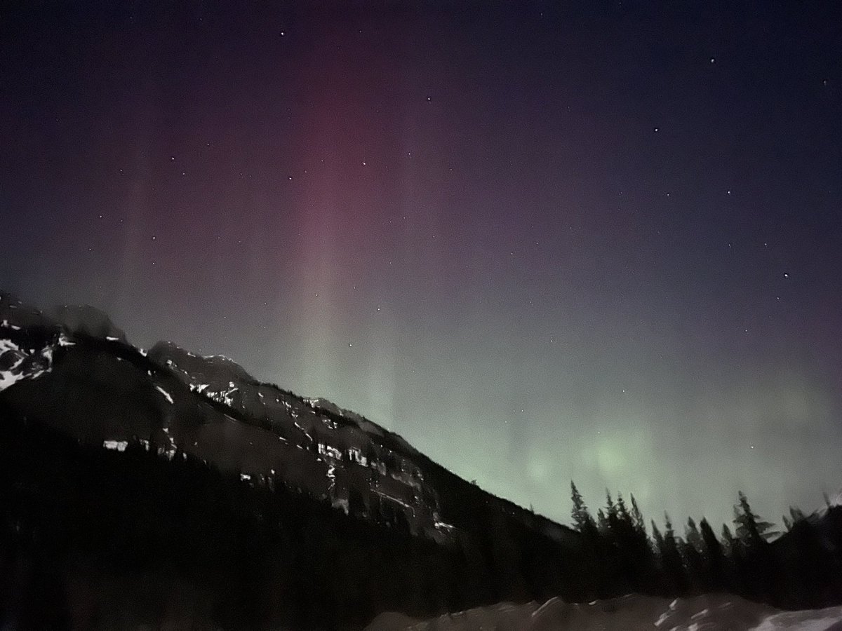 Riley Blue tweet media