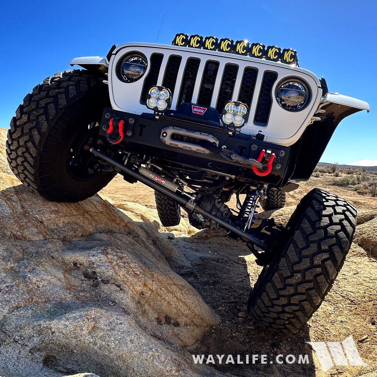 Happy #FlexyFriday!  #wayalife #jeep #jeepgladiator #evomfg #trailingarms #nittotires #rockjock4x4 #antirock  #synergymfg #warnequipped #kchilites #spicerparts #ud60 #ultimatedana60