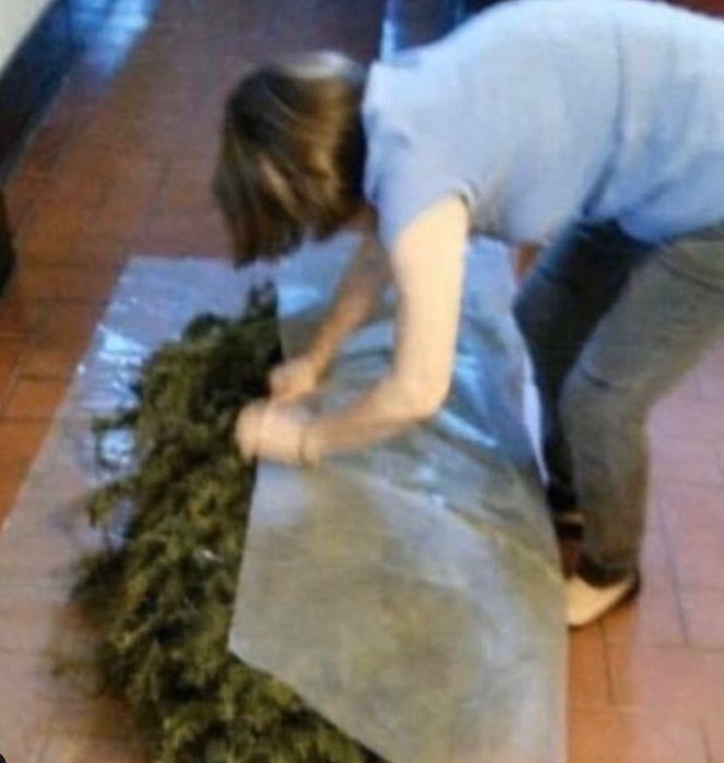 Draco Deathclaw ⭐⭐⭐ (@deathclawalpha) on Twitter photo 