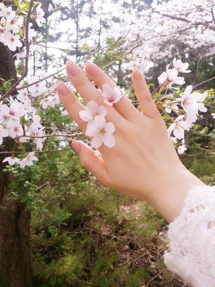 Reyam //🎀 tweet media