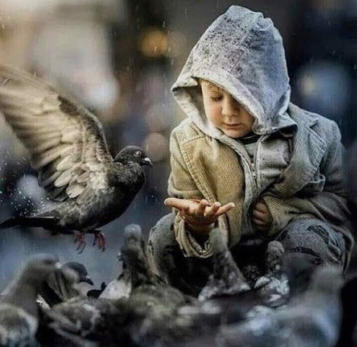 Bir çocuğa 'yalan söyleme...!' demeyin, 
'doğruyu söyle...' deyin. 
Çünkü; birincisinde suçlamış, 
ikincisinde ise yol göstermiş olursunuz...