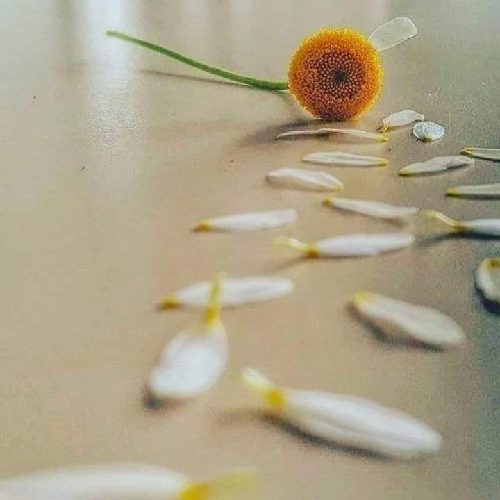 Ağızdan çıkanlara daima dikkat edilmeli,
çünkü bir sözü unutmak,
bir yüzü unutmaktan daha zordur...