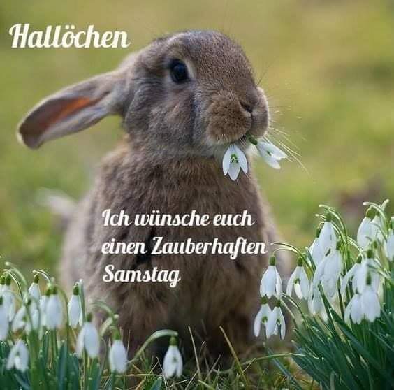 holzhut's tweet photo. Guten Morgen ihr Lieben ♥ 😊 🤗 ich wünsche euch allen einen schönen entspannten Samstag. https://t.co/6Hg8MAxZ4N