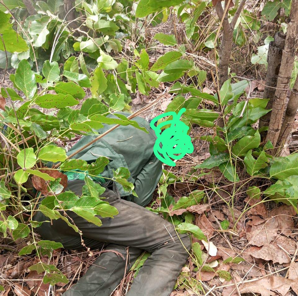 Yatab_ngr's tweet photo. Troops of 1 Division Nigerian Army operating in Chikun LGA of Kaduna State have neutralized 5 bandits along road Kanti-Tantatu in Kubusu forest in Kaduna State. Troops also captured 4 AK 47 rifles, 6 AK 47 magazines, 24 rounds of 7.62mm ammunition, 3 motorbikes, amongst others. https://t.co/hvLZWfM5rI