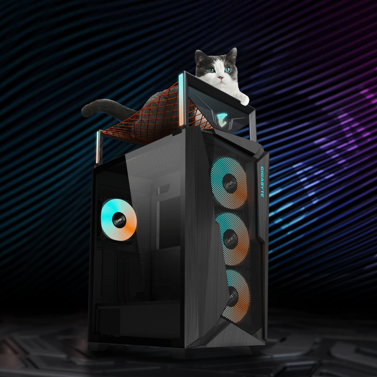 AORUS Benelux tweet media