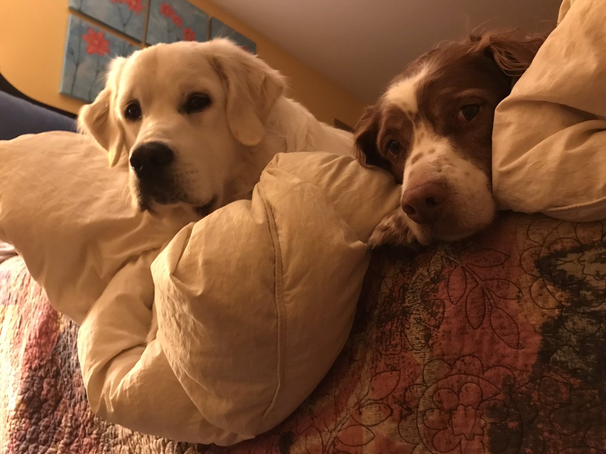 Your #dailydose of #lilBish &amp; #Baron