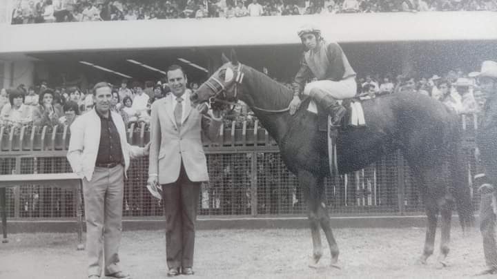 HORSERACING1002's tweet photo. YAXA 🇲🇽 1972
(SAYIL - BABILONIA BY FERNELEY II)#Yaxa https://t.co/f3NSwGeTLU