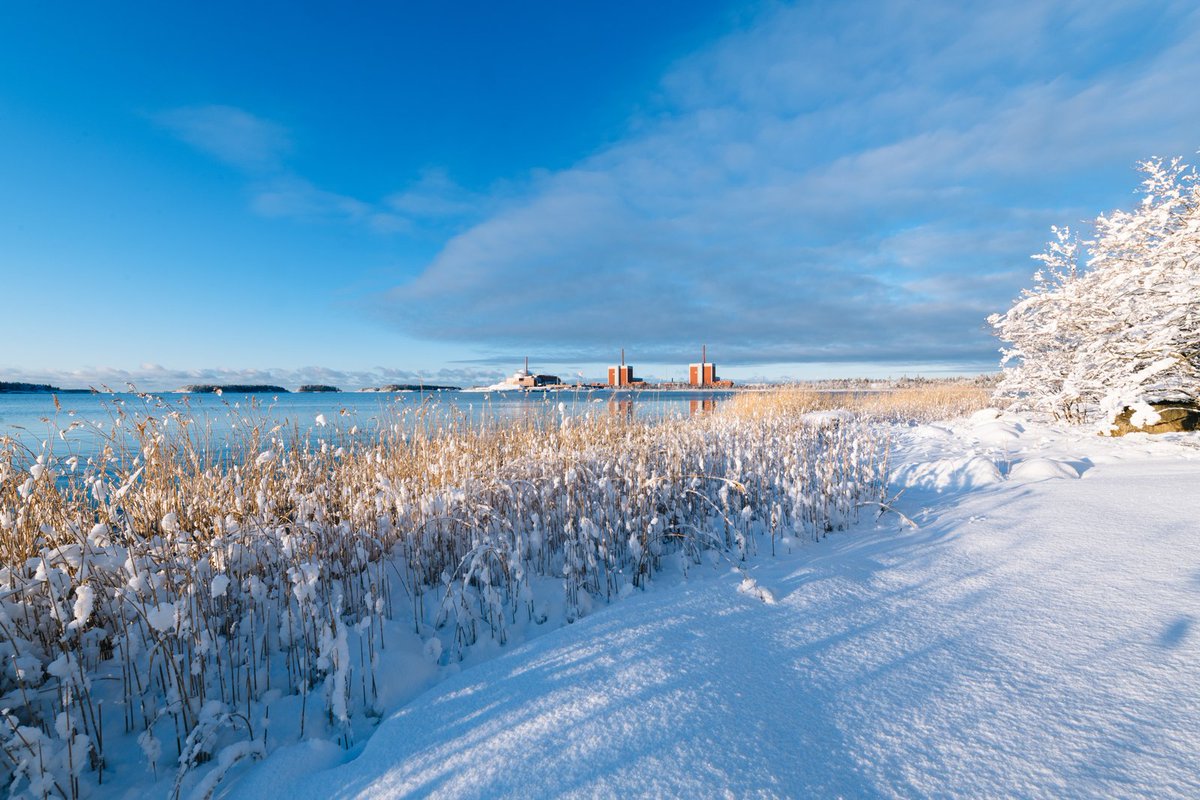 Lähitulevaisuudessa ydinvoimasta tutusta saaresta on tarkoitus kehittää myös Pohjois-Euroopan johtava etanakeskittymä. 🐌 Kasvattajainsinööri muuttaa tarhansa eteläisestä Euroopasta Suomeen ilmastonmuutoksen seurauksena.

Lue lisää uudesta aluevaltauksesta tvo.fi/ajankohtaista/…