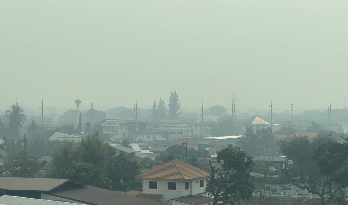 Chiang Mai News tweet media