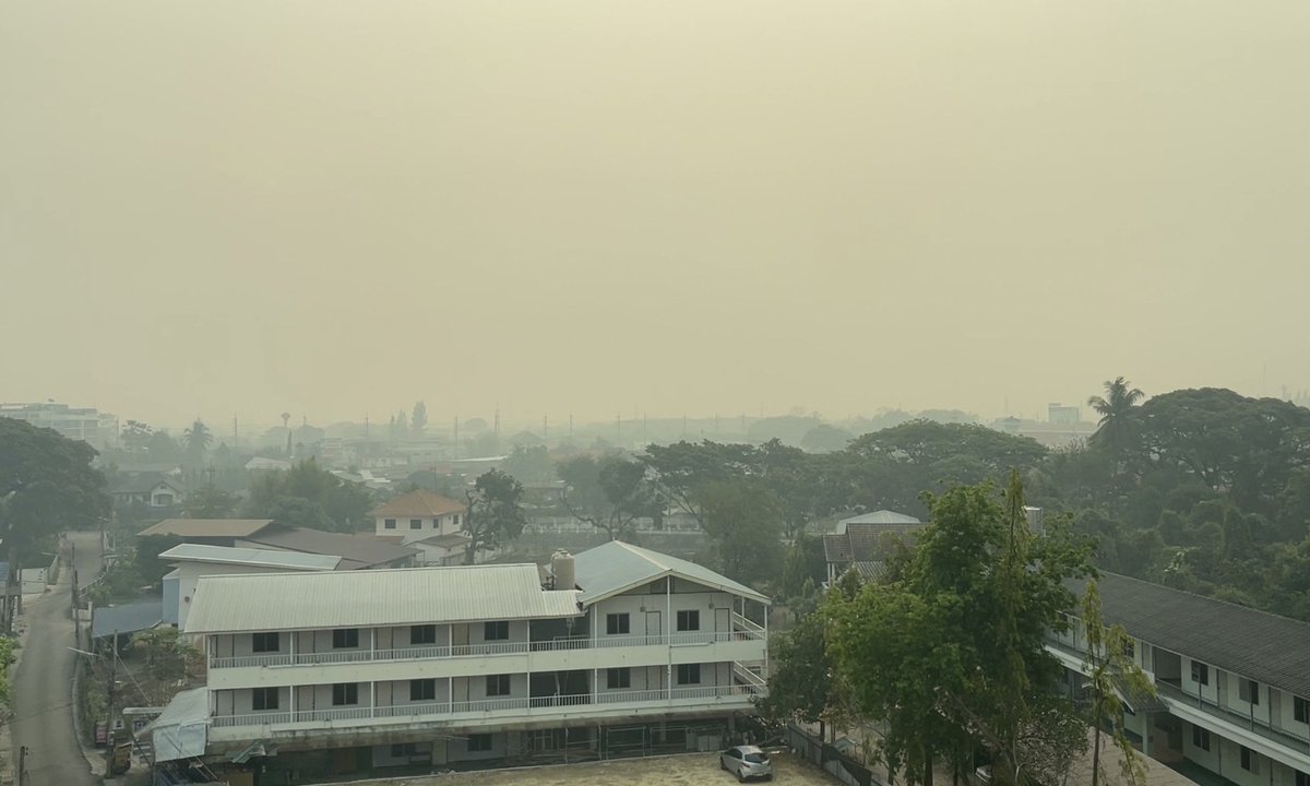 Chiang Mai News tweet media