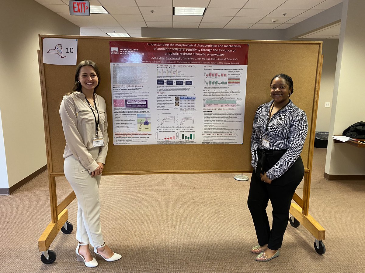 AnneMcCabe's tweet photo. So proud of my @ACPHSMicro research students for their *award winning* poster presentations at the Eastern New York @ASMicrobiology trainee symposium today! The first of many presentations to come for Team Kleb! @acphsofficial #asm #acphs #undergraduateresearch #proudPI https://t.co/8WVo2skC9k