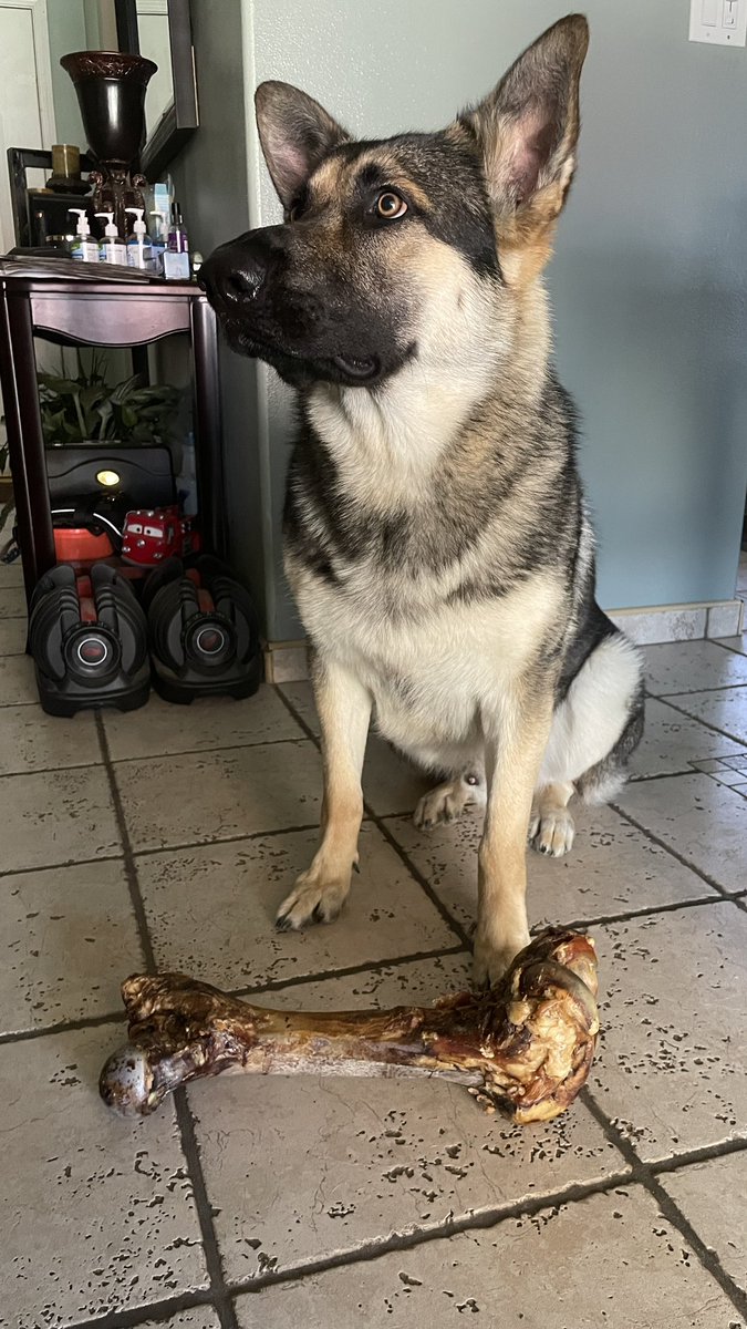 Big bone for the goodest birthday boi