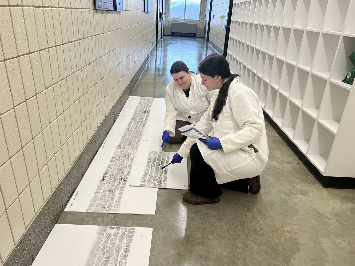 unewhavenforen1's tweet image. Our students practice with these newly-inked tire tread impressions to document the class and potentially unique characteristics in these patterns for investigative use!

#UNewHaven #forensicscience #forensictechnology #unewhavenforensics #tiretreadpatterns #investigation