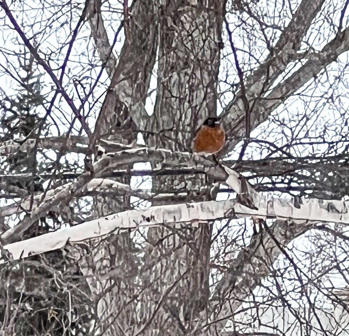 The Irrationally Exuberant Podcast tweet media