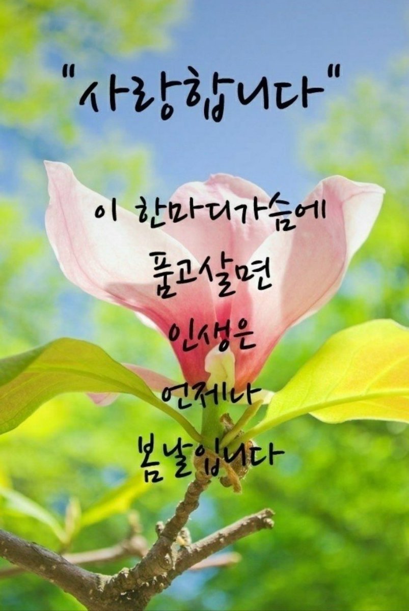 cooki (@choes4002) on Twitter photo 