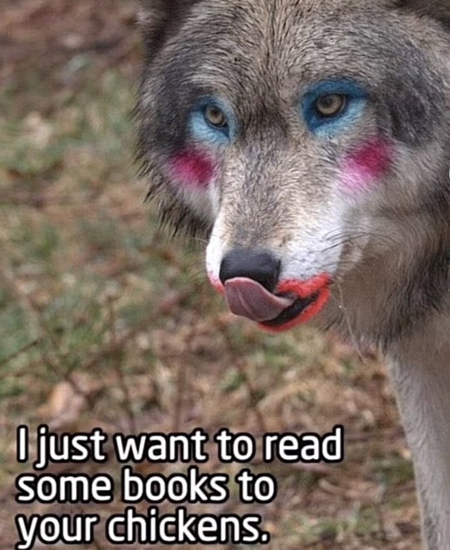 FsmCELgXwAIqIAX.jpg