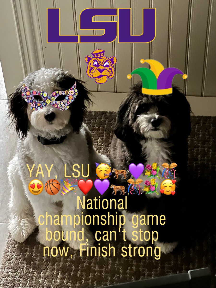bwhomecreativi1's tweet photo. @espn @Reese10Angel Mom has us already prepped for the National Championship Game! #LSUWBB #LSUvsVT #LSU #FinalFour2023 #aussiedoodle #SEC #cutedog #dogsoftwitter #dogsofinstagram https://t.co/tSMw7EQepp