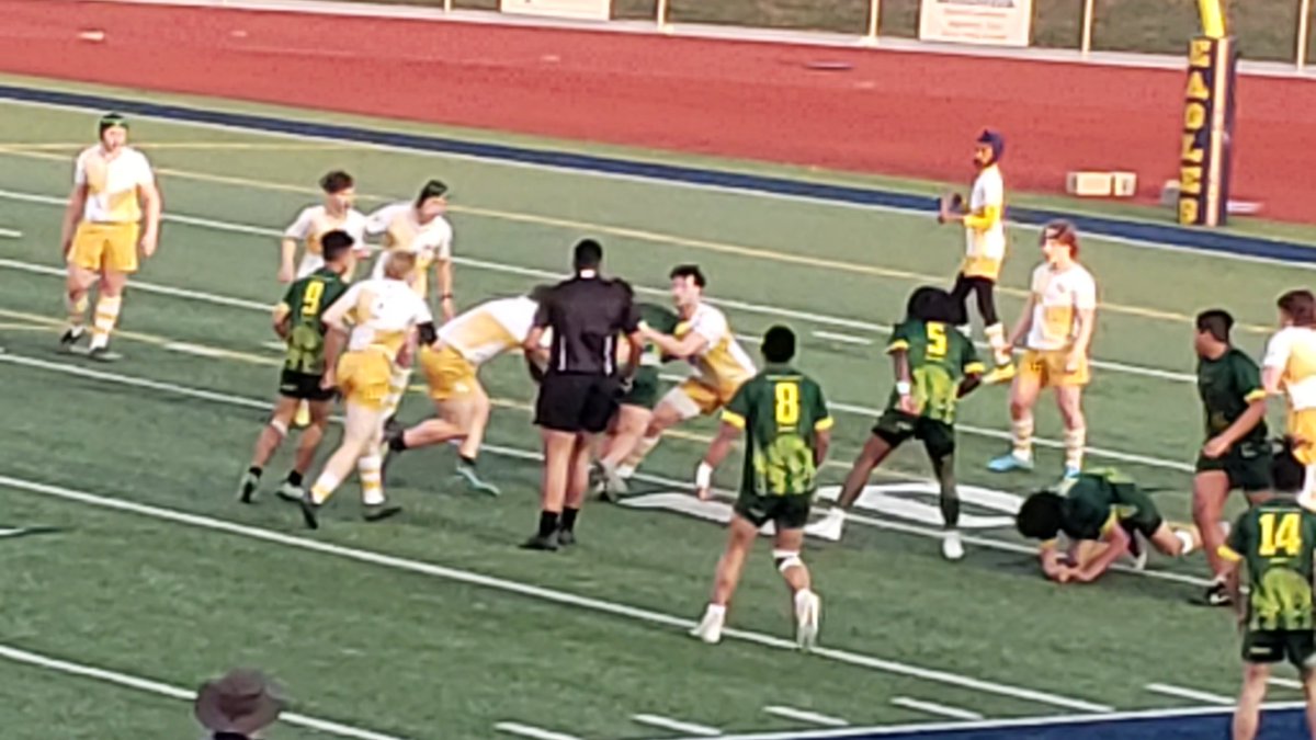 LNHS Rugby tweet media