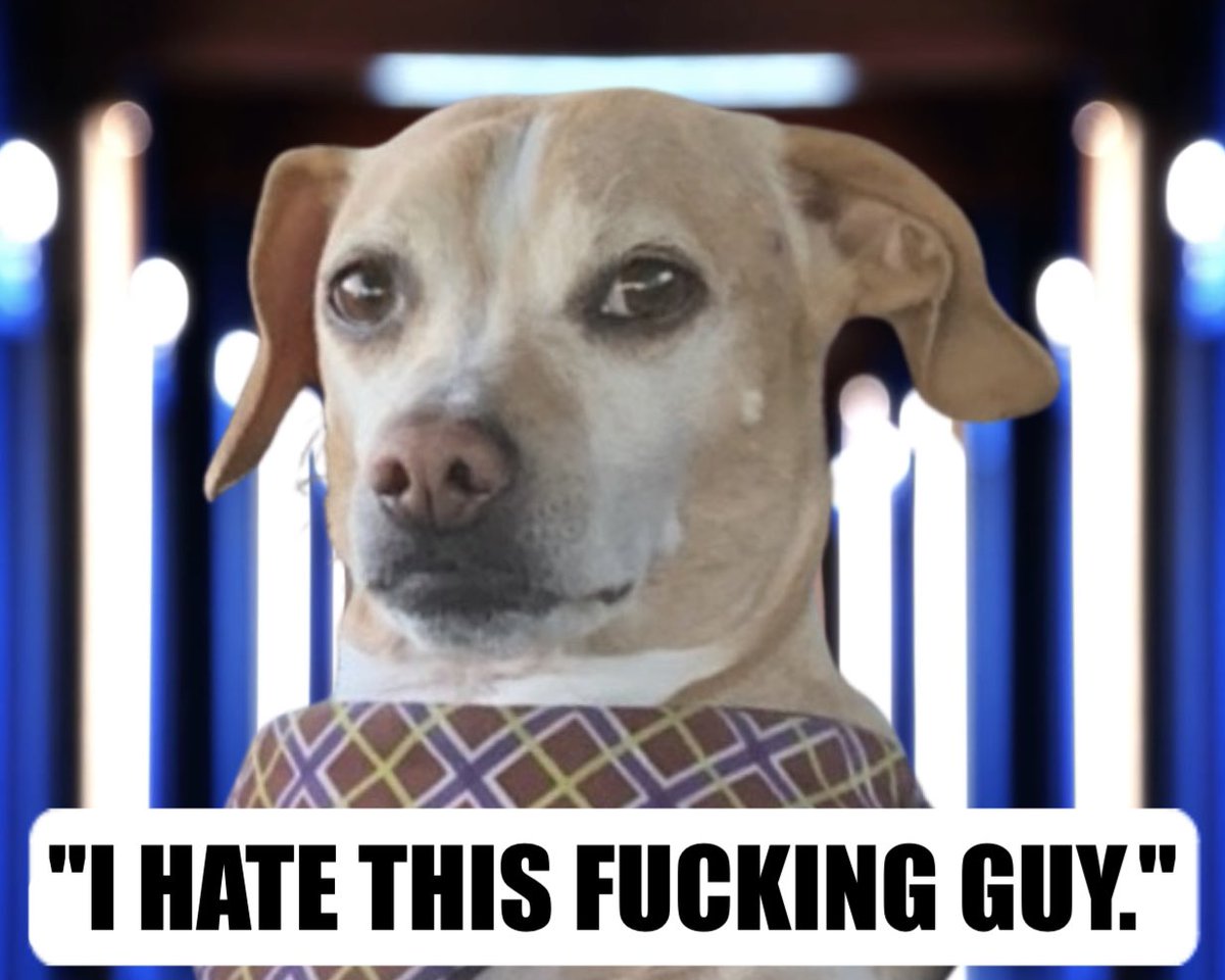 lindstothek's tweet photo. I can’t believe @netflix just leaked this @LoveisBlindShow talking head with Chelsea’s dog Rocky. Now we finally know how he feels about Kwame. #LoveIsBlind #loveisblind4 #netflix #LoveIsBlindS4 https://t.co/clT2QAWNnD