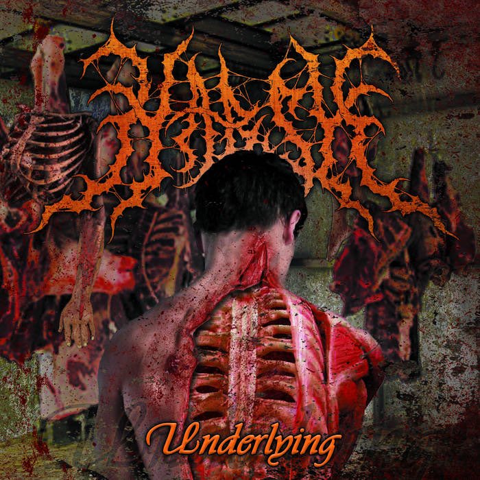 ZTextremeMetal's tweet photo. #NowPlaying
Harsh
Underlying
2016
Brutal Death Metal
https://t.co/bUBAT0YEbt
#BrutalDeathMetal ๐ช๐ธ #DeathMetal
#BDM #riffs #vocals #Guttural #guitar
#BassTone #drumming #BlastBeats
#DoubleBass #KickDrum #artwork
#PathologicallyExplicit #GravityBlast #mosh ๐ค๐ป๐ฅ๐ฅ๐ฅ๐ค๐ป https://t.co/OiIVInBbVK