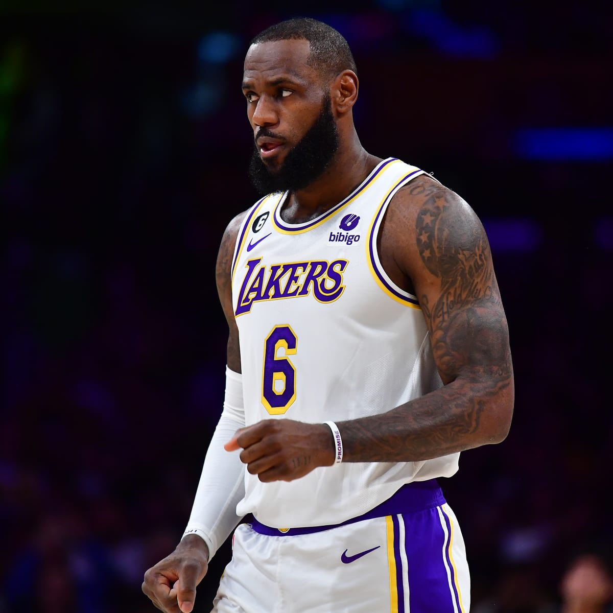 Legion Hoops tweet media