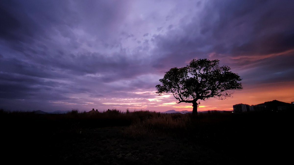 harrybandbe's tweet image. Show us a picture of a sunset shot on your phone!
#sunset #oldpic #pocoX3