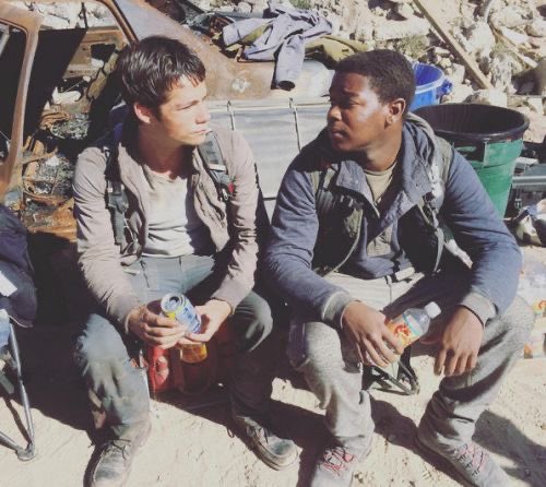 maze runner thinker ♡ tweet media