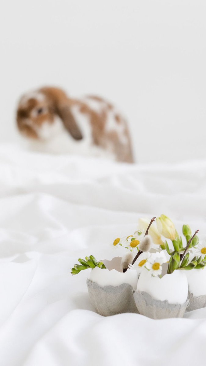 eHomGroup's tweet image. The #HeritageMuseumofOrangeCounty brings back its annual #Easter egg hunt, which also features #crafts, vendors, photo ops with the #EasterBunny, and other #family #fun. This #event is #FREE for all ages and will happen rain or shine.
 
Easter Eggstravaganza
4/2 @HeritageMusOC