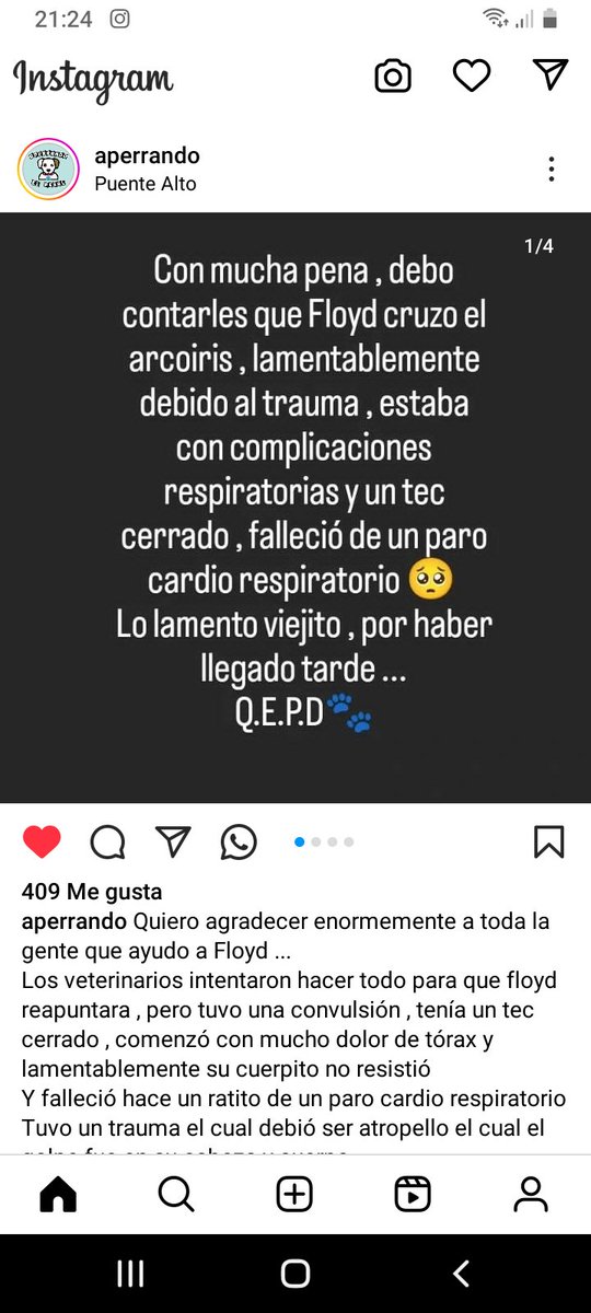 Katherin8782818's tweet image. Se murio #Flopy #vuelaalto 😢💗