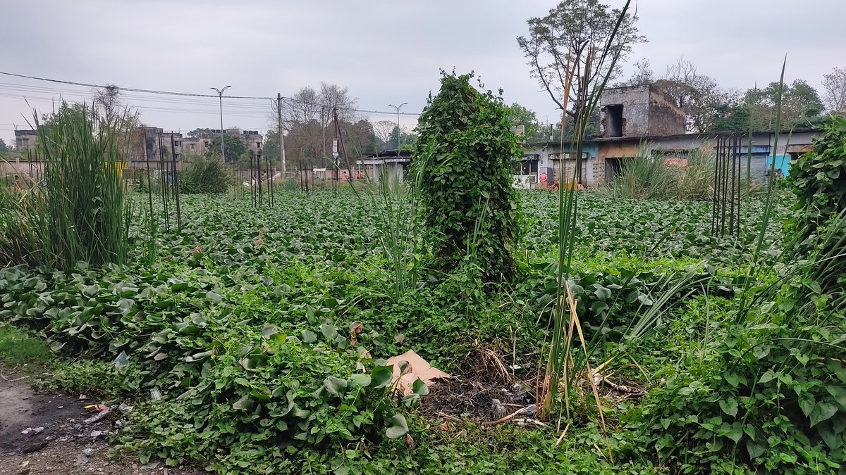 Dipak Kumar Panda tweet media