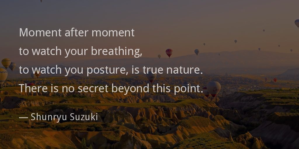 Moment after moment to watch your breathing, to watch you posture, is true nature. There is no secret beyond this point.
— Shunryu Suzuki