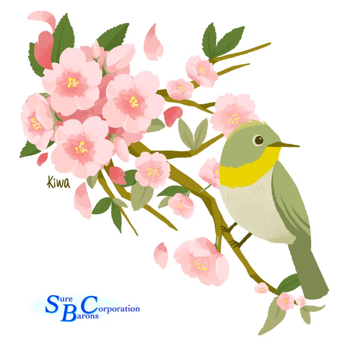 お仕事情報: 「Sure Barons Corporation 」様のHPにイラストカット掲載していただきました!桜とメジロの春のイラストです!  