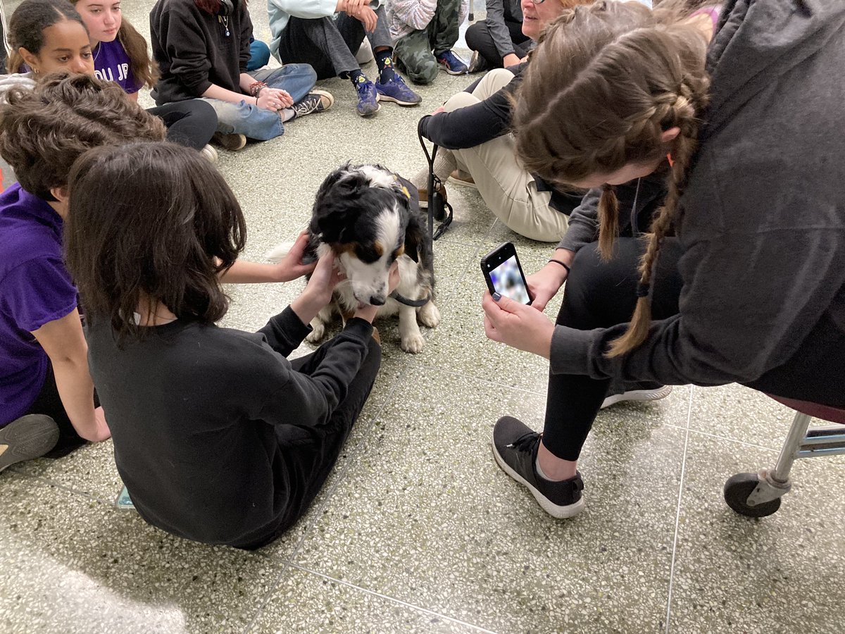 Madeline Gralish tweet media