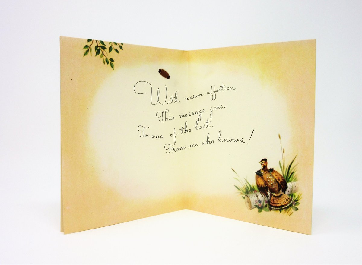 antiquelove22's tweet photo. Vintage Unused Fathers Day Greeting Card To My Brother Featuring Two Artist Drawn Hunting Dogs Tracking a Pheasant Real Fabric Embellishment https://t.co/vF7P0BUpK8 #Vintage #Etsy #FathersDayCard https://t.co/NljTpLrEMh