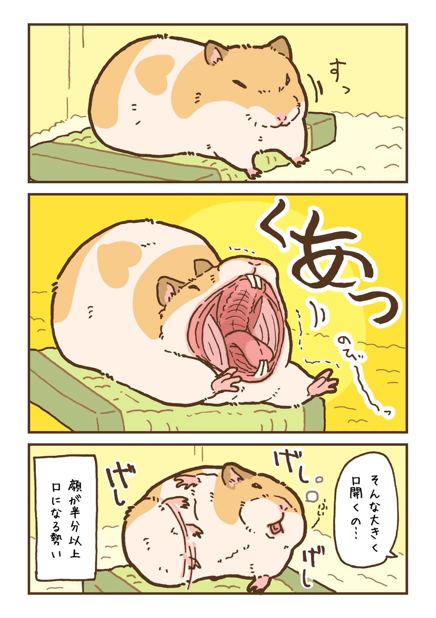 ハムスターのあくびはこんな感じ？！ハムスターのあくびを描いた漫画が話題に！