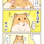 ハムスターのあくびはこんな感じ？!ハムスターのあくびを描いた漫画が話題に!