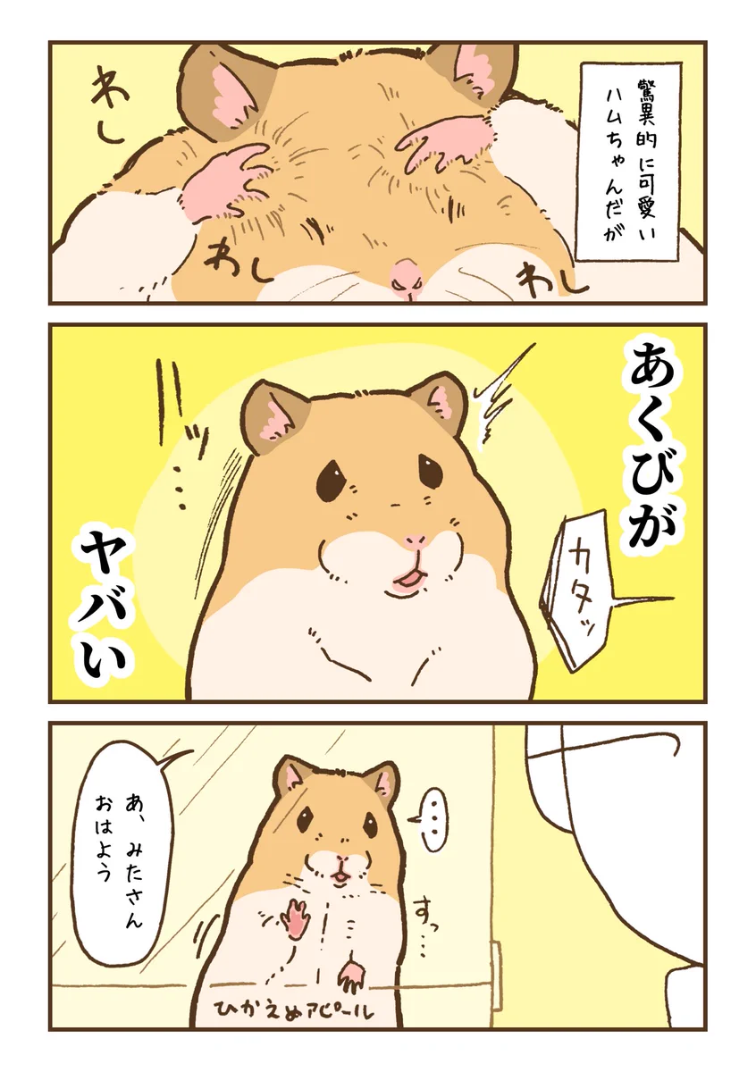 ハムスターのあくびはこんな感じ？！ハムスターのあくびを描いた漫画が話題に！
