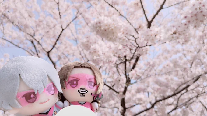 今年のプチ花見 