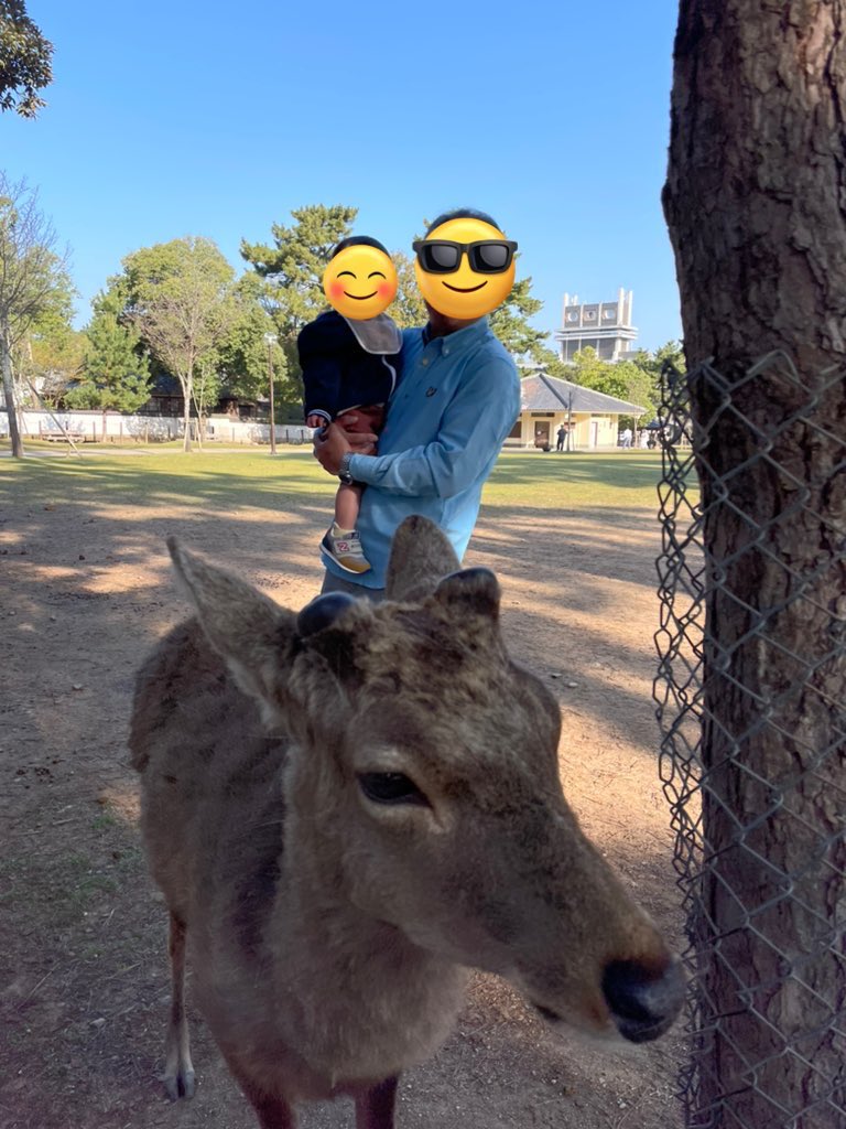 甥と父親と私。 https://t.co/r5hYrDdfbf