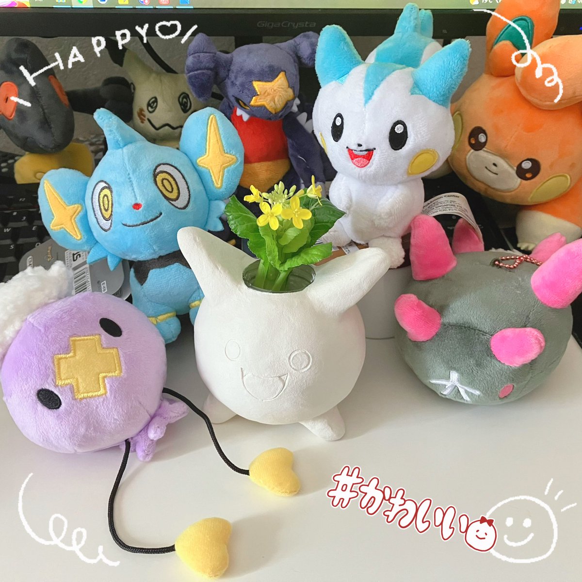 🍺🍶ぱちた🍷🍾 tweet media