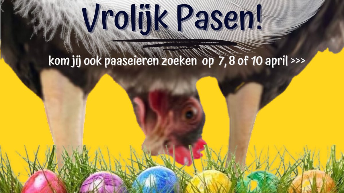 #Paasweekend mogen #kinderen tot 12 jaar #paaseierenzoeken. Er is zelfs een #goudenei bij. Wie het vindt gaat met een leuke prijs naar huis. Meer info bezoek onze site!
.
#pasen2023 #goedevrijdag #paasdagen #pasen #visitbarneveld #barneveld #gokids #kidsproof #eropuit #dagjeuit