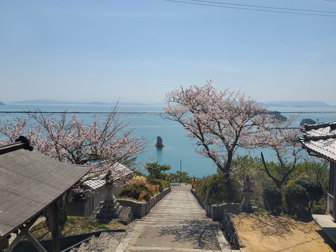 富丘八幡神社へ一日詣ここの桜もいい感じです🌸#富丘八幡神社#高木さんめ 
