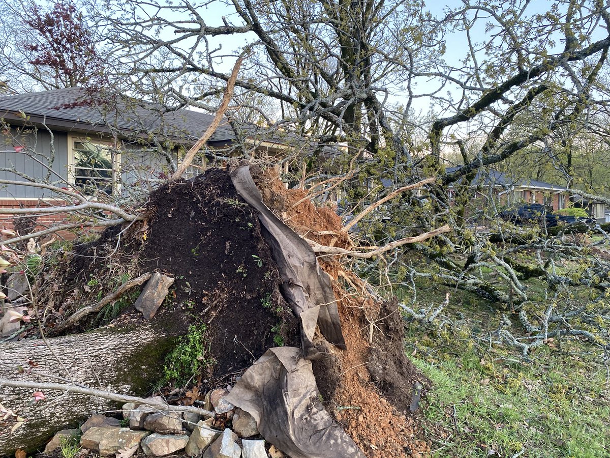 The Indoctrinatrix tweet media