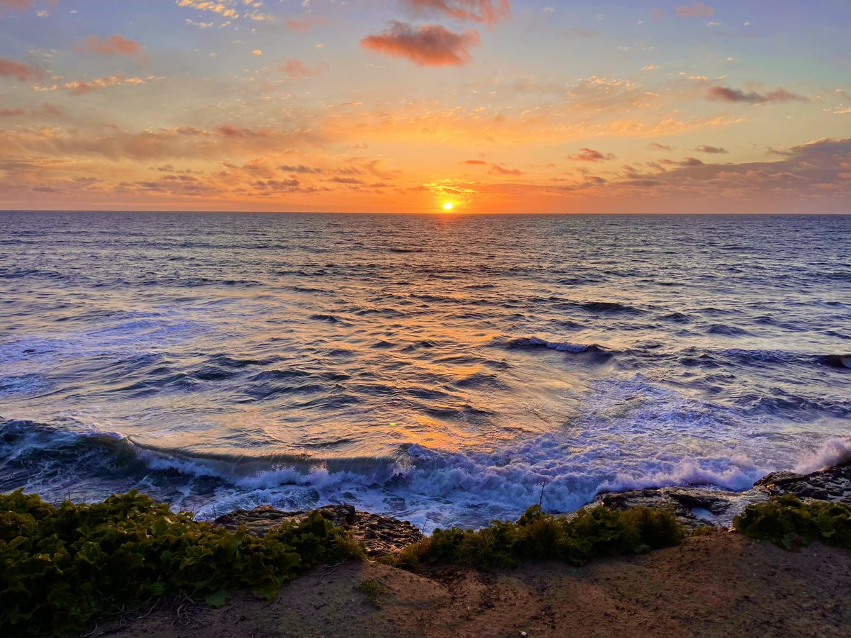 DrMarkJGonyea's tweet photo. Final sunset of our #SpringBreak2023 in @OceanBeachCA #iphonePhotography #iphone12maxPro #sunsetphotography #sunsets #sunset @VisitCA back to TN https://t.co/j1pbqn21sA