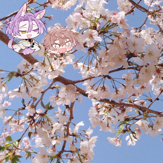 きれいだな～ 