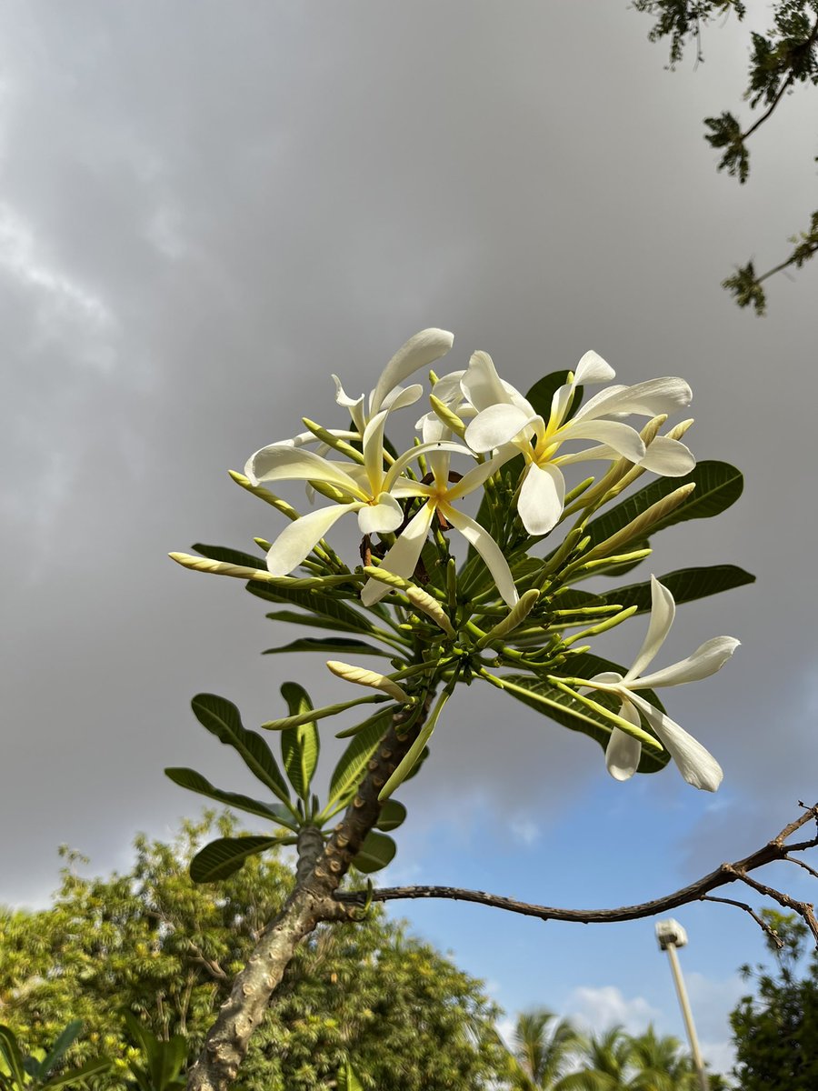 ١٠ رمضان 🌙 
" ولا تنسوُا الفضل بينكم "