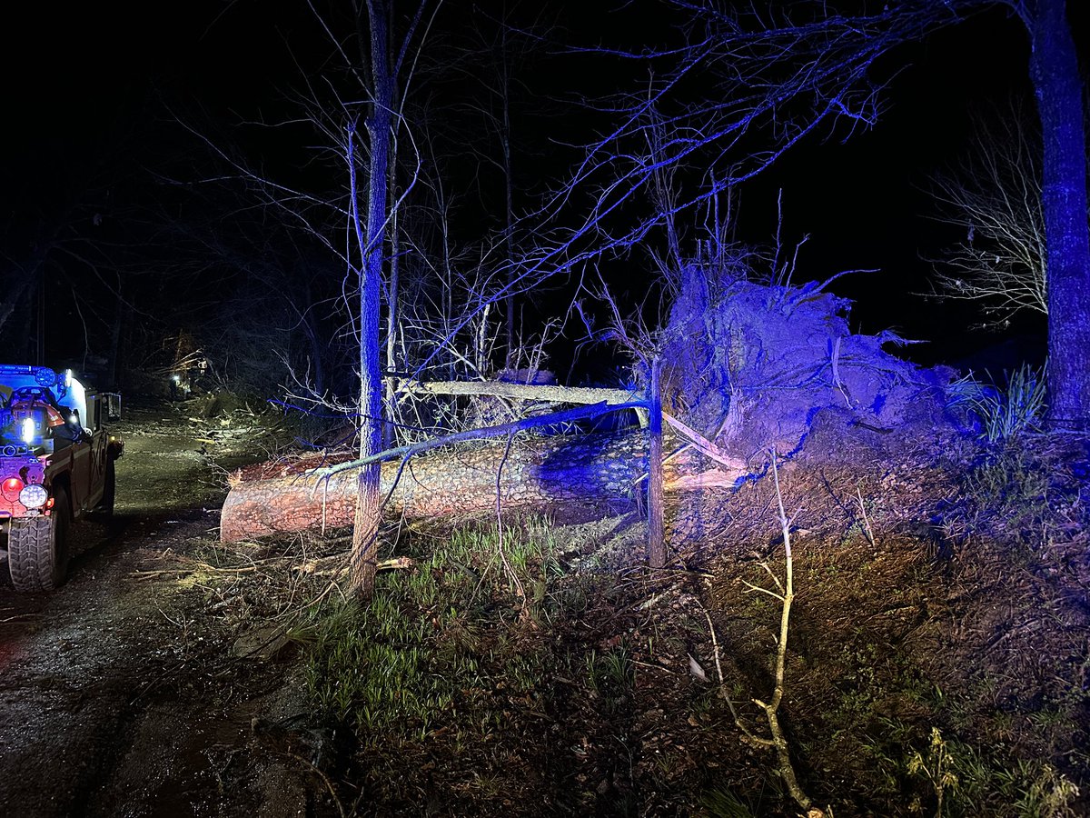 stephen proctor tweet media